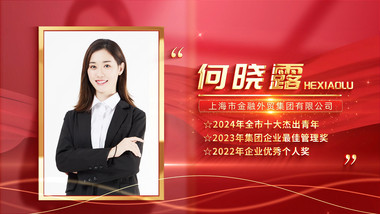 红金光影<strong>党政</strong>人物表彰边框背景视频