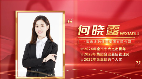 红金光影<strong>党政</strong>人物表彰边框背景视频