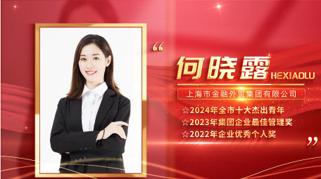 红金光影<strong>党政</strong>人物表彰边框背景视频