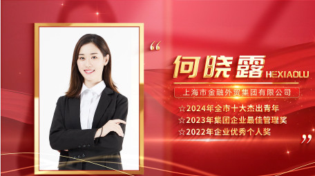 红金光影<strong>党政</strong>人物表彰边框背景视频