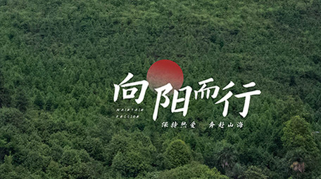 简约AE模板唯美片头字幕花字