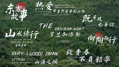 简约AE模板唯美片头字幕花字
