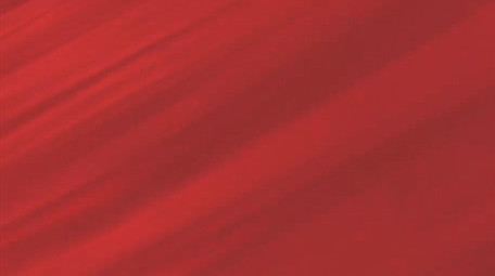 简洁<strong>党政</strong>项目<strong>图文</strong>展示pr模板