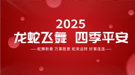 喜庆蛇年祝福图文快闪AE模板
