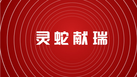 喜庆蛇年祝福图文快闪AE模板