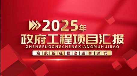 简约立体党政项目工作汇报AE模版