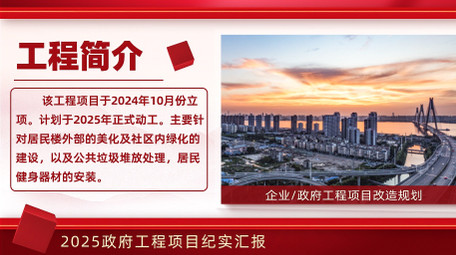 简约立体党政项目工作汇报AE模版