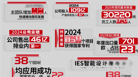 红色简洁数据汇报字幕花字