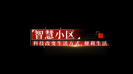 简约党政字幕人名条字幕花字