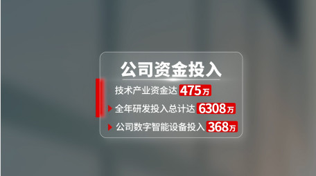 简约党政汇报字幕AE模板