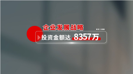 简约党政汇报字幕AE模板