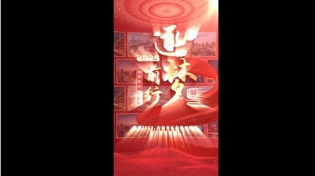 大气党政照片墙文字标题竖版视频