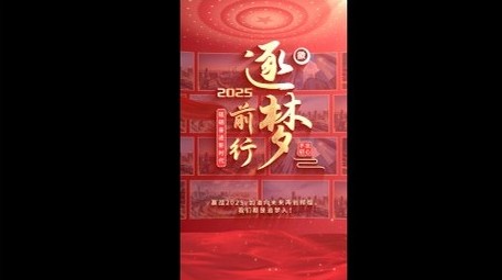 大气党政照片墙文字标题竖版视频