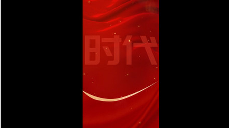 红色时尚党政人物简洁竖版视频