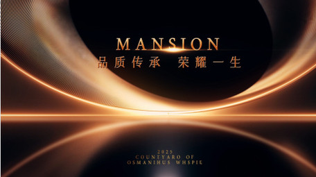 创意黑金质感地产图文宣传快闪AE模板