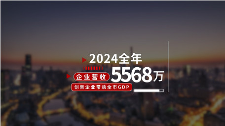 大气简约党政宣传片汇报字幕AE模版