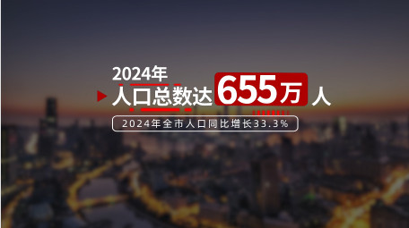 大气简约党政宣传片汇报字幕AE模版