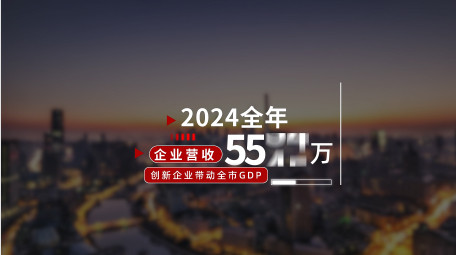 大气简约党政宣传片汇报字幕AE模版