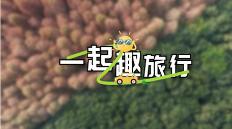 清新卡通扁平简洁风字幕花字