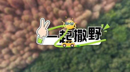 清新卡通扁平简洁风字幕花字