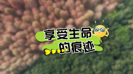 清新卡通扁平简洁风字幕花字