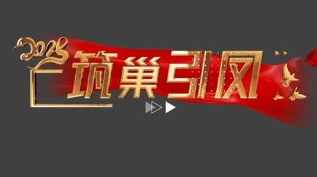 党政角标金色文字动画展示字幕花字
