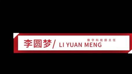党政简约科技人名条字幕条字幕花字