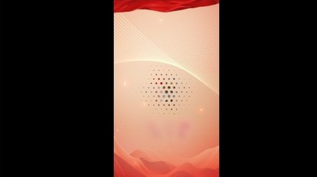 简洁<strong>党政</strong>社区活动竖版视频