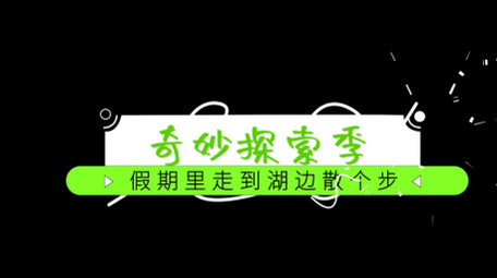 绿色设计风旅游花字字幕模板