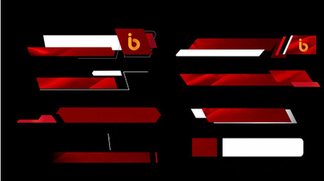 简洁大气党政字幕花字模板