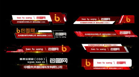 简洁大气党政字幕花字模板
