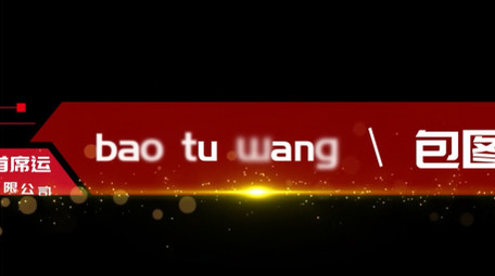 简洁大气党政字幕花字模板