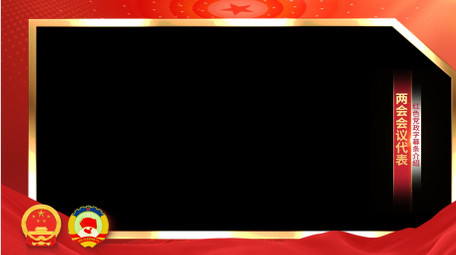 <strong>党政</strong>党建两会红绸采访边框背景视频