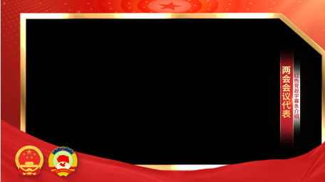 <strong>党政</strong>党建两会红绸采访边框背景视频
