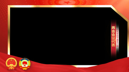 <strong>党政</strong>党建两会红绸采访边框背景视频