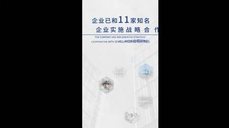 简洁项目介绍短视频AE模板