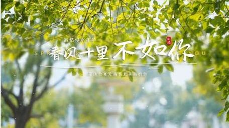 唯美文艺微电影片头文字标题AE模版