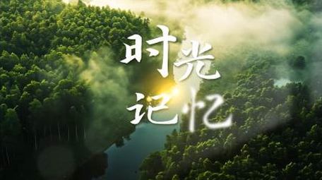 唯美小清新自然光影片头AE模板