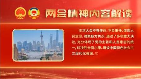 简洁两会政策<strong>图文</strong>解读背景视频
