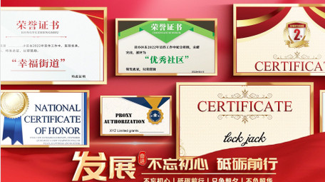 大气荣誉证书展示<strong>图文</strong>照片墙AE模版