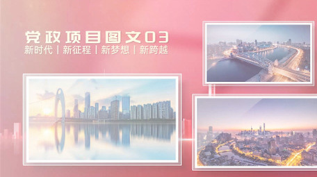 光影<strong>党政</strong>项目多图展示PR模版