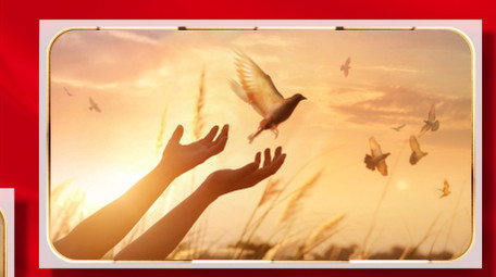 快速闪现照片墙汇聚标题AE模板