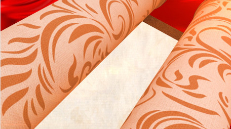 卷轴摊开效果党政片头ae模板