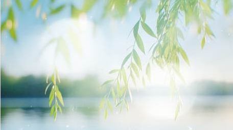 简洁清新春季光效片头AE模板