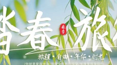 简洁清新春季光效片头AE模板