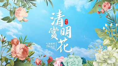 4K春天花朵穿梭片头AE模板