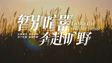 清新光效文字标题ae模板