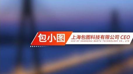 简洁大气党政人名条AE模板