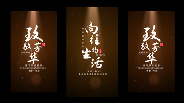 简洁光影文艺标题竖屏视频