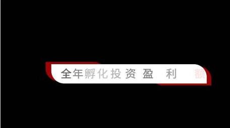 红色简洁字幕条人名条动画字幕花字